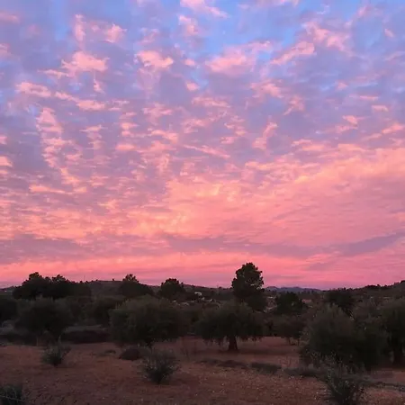 Casa De Madera, A From Home. * Teresa de Cofrentes